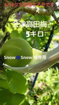 専用商品　青梅　会津高田梅　5キロ 青梅 会津高田梅 5キロ - メルカリ