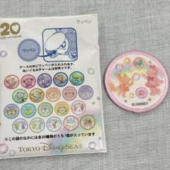 ダッフィー&フレンズ カラフルハピネス ワッペン シェリーメイ　リーナベル