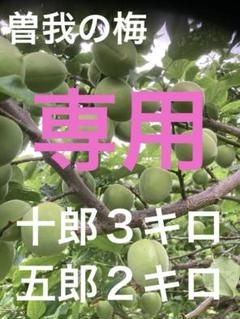曽我の梅　十郎３キロ　五郎２キロ 曽我の梅 十郎3キロ 五郎2キロ - メルカリ