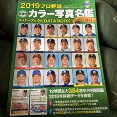 プロ野球全選手カラー写真名鑑&パーフェクトDATA BOOK 2019のサムネイル