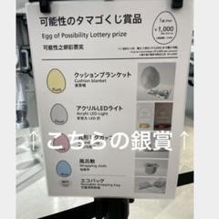 大阪万博 電力館 可能性のタマゴくじ 銀賞 アクリルLEDライト