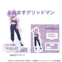 新条アカネ　グリッドマン ヒロインズ A賞 BIGサイズ アクリルスタンド 新条アカネ グリッドマン ヒロインズ A賞 BIGサイズ アクリル