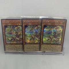 天威龍スールヤ　シークレット　３枚