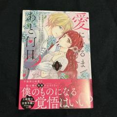 愛になるまであと何日?～偽装婚約のはずなのに、上級騎士になった幼なじみが溺愛し…