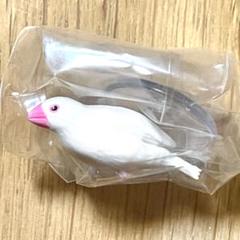 清水焼 文鳥 つがい フィギュリン 陶磁器 置物 飾り物 白文鳥 清水焼 文鳥 つがい フィギュリン 陶磁器 置物 飾り物 白文鳥