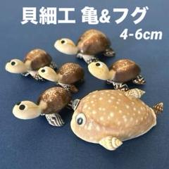 貝細工　貝の置物　貝殻　亀の置物　フグの置物