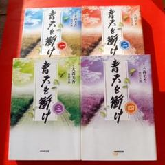 青大を衝け 全4巻セット