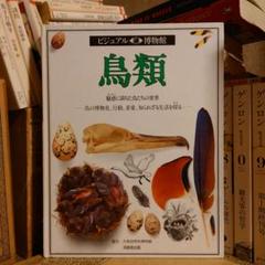 ★れ ビジュアル博物館 / 鳥類 / 同朋舎 大英自然史博物館