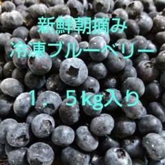 朝摘み冷凍ブルーベリー7kg入り 新鮮朝摘み冷凍ブルーベリー1．5kg入り - メルカリ
