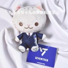 SEVENTEEN セブチ ミンギュ ぬいぐるみ SEVENTEEN ミンギュANIMAL COORDYミニぬいぐるみ DREAM - メルカリ