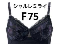シャルレミライ ブラジャー FA281 │ 通販 │ シャルレ ウェブストア