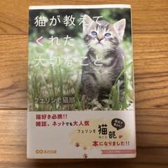 猫が教えてくれた大切なこと