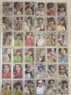 SEVENTEEN セブチ sector17