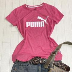 paloma wool ピンク Tシャツ masu 天使 y2k ピチT 平成 ギャル PUMA ピチT ピンク ロゴ Tシャツ Y2K チビT 英字