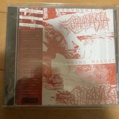 ORCD 183) PUTREFACTION SETS IN / Repugnant Inception of
