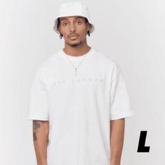 AIR JORDAN × UNION Tee ホワイト 半袖　Lサイズのサムネイル