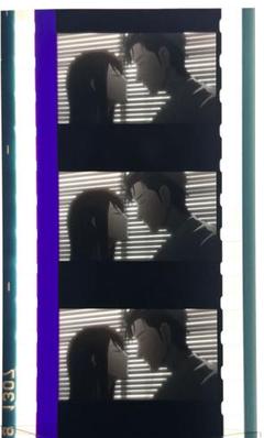 シュタインズゲート Blu-ray 特典 フィルム 牧瀬紅莉栖