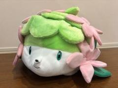 2025年最新】シェイミ ぬいぐるみ 20周年の人気アイテム - メルカリ