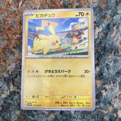 【限定　ポケパーク】ポケモンカード19枚セット ポケカ】5月19日発売予定の拡張パック「スノーハザード」と