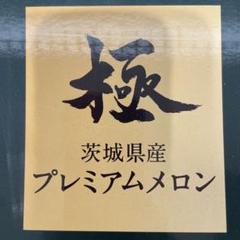 kw2糖度18度以上！茨城県旭村産エルソルメロン極3Lサイズ1箱4玉入り d_melon250_00.jpg