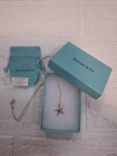 ティファニー　スターフィッシュブローチ　シルバー925 Tiffany ティファニー スターフィッシュ ネックレス シルバー925