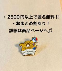 レア　東京ディズニーシー　オープニング　デート　アナウンスメント　ピンバッジ レア 東京ディズニーシー オープニング デート アナウンスメント