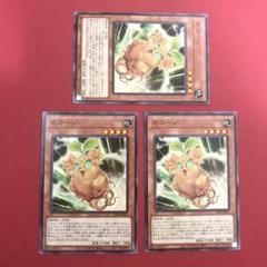 2025年最新】遊戯王ノーマルまとめ売りの人気アイテム - メルカリ