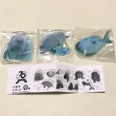2025年最新】鳥羽水族館 ジュゴンの人気アイテム - メルカリ