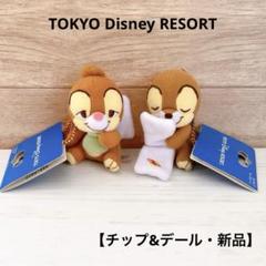 TOKYO Disney RESORT チップ&デール ストラップ キーチェーン