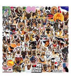 シェパード 犬 災害救助犬 軍用犬 警察犬 牧羊犬