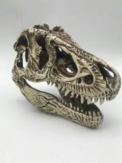 ジュラ紀の恐竜ティラノサウルスの頭骨の骨格模型のアイデアの考古学のコレクション