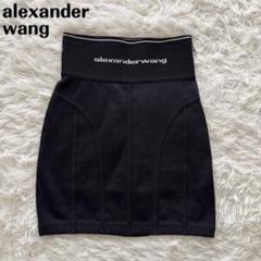 2025年最新】Alexander Wang レディース ミニスカートの人気