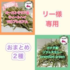 2025年最新】Timothy leeの人気アイテム - メルカリ