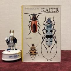 ❤️セール725②希少チェコビンテージ昆虫図鑑　洋書　ジャンクジャーナル　イラスト