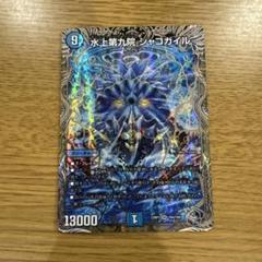 2025年最新】シャコガイルの人気アイテム - メルカリ