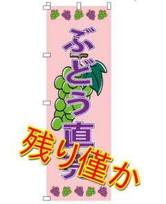 のぼり旗 ぶどう直売 シャインマスカット