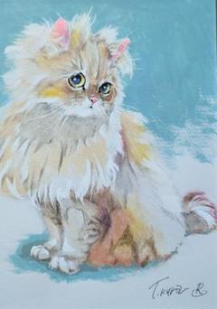 輝く猫　絵画　イラスト　ドローイング 輝く猫 絵画 イラスト ドローイング