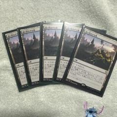 2025年最新】パイオニア デッキ mtgの人気アイテム - メルカリ