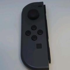 ニンテンドーSwitchジョイコングレー(L)