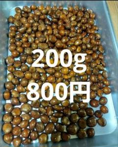 ビワの種　約5kg大小入り混じり　② ビワの種約5kg（大小入り混じり）①