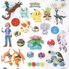 とらねこポケモンの中古 未使用品 メルカリ