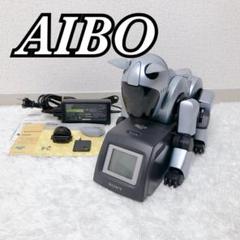 aiboチャージステーション・デコカバー〈紅葉柄〉 – ROBO-UNI