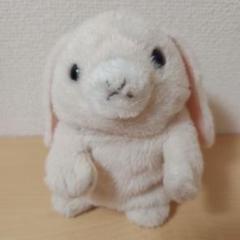 2025年最新】mimicrypet ミミクリーペットの人気アイテム - メルカリ