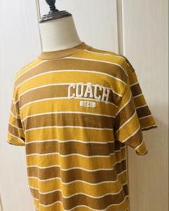 ほぼ未使用 COACH ストライプ ボーダー
