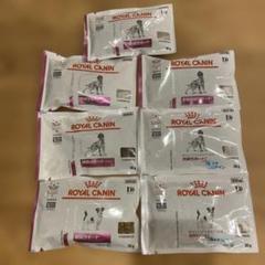  CANIN 早期腎臓サポート 2kg ２袋　新品未開封 猫用 早期腎臓サポート 2kg
