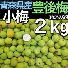 信州産　小梅10キロ 楽天市場】ご家庭用 B級品 白干小梅 1キロ サイズ混合【送料込