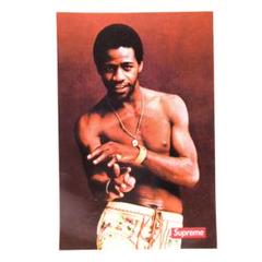 supreme Al Green Skateboard アル グリーン スケボー supreme Al Green Skateboard アル グリーン スケボー