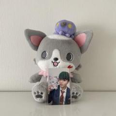 JOCHUM チュララ　ぬいぐるみ 61ShapD4AmL._UF350,350_QL50_.jpg