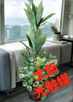 光触媒 人工観葉植物 ウォールグリーン フェイクグリーン