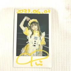 眠岸ぷりん 生誕限定チェキホルダー Amazon.co.jp: nanimono 眠岸ぷりん チェキホルダー 生誕グッズ